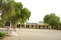 Govt. Sen. School